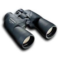 BINOCULARS